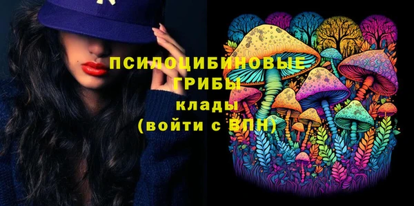 МДПВ Новокубанск
