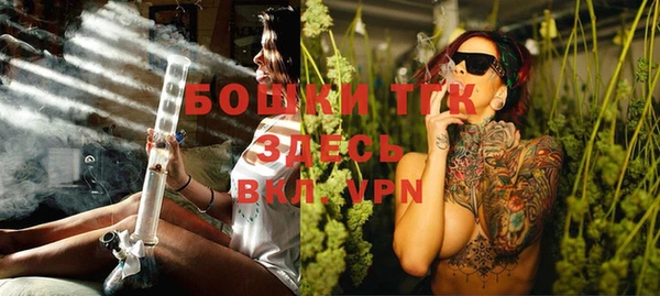 ГАЛЛЮЦИНОГЕННЫЕ ГРИБЫ Надым