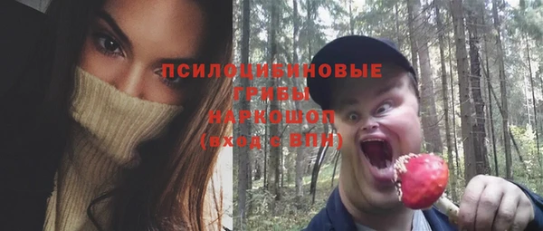 ГАЛЛЮЦИНОГЕННЫЕ ГРИБЫ Балахна