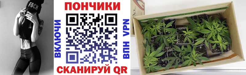 Шишки марихуана план  Купить  Арамиль 
